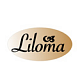 Оборудование Liloma (Италия) для кафе, ресторана, бара, столовой и общепита